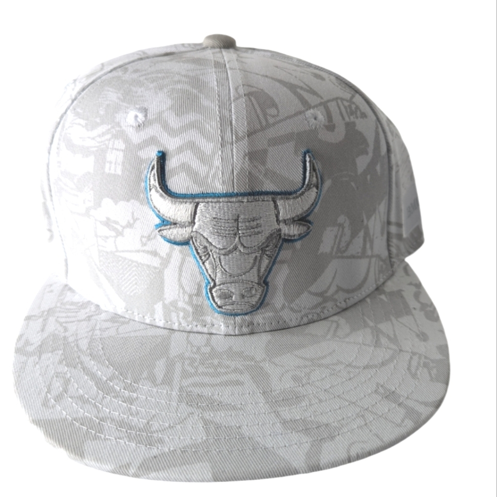 Chicago Bulls BMO  Artist Hat Series